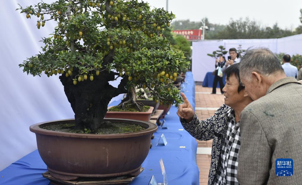 永利微信一元